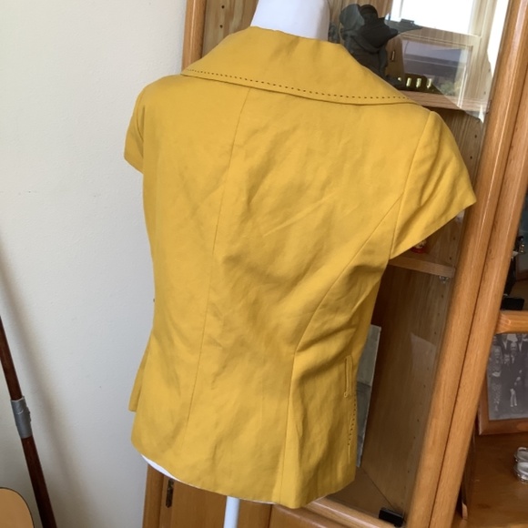 Yellow jacket - Picture 4 of 4